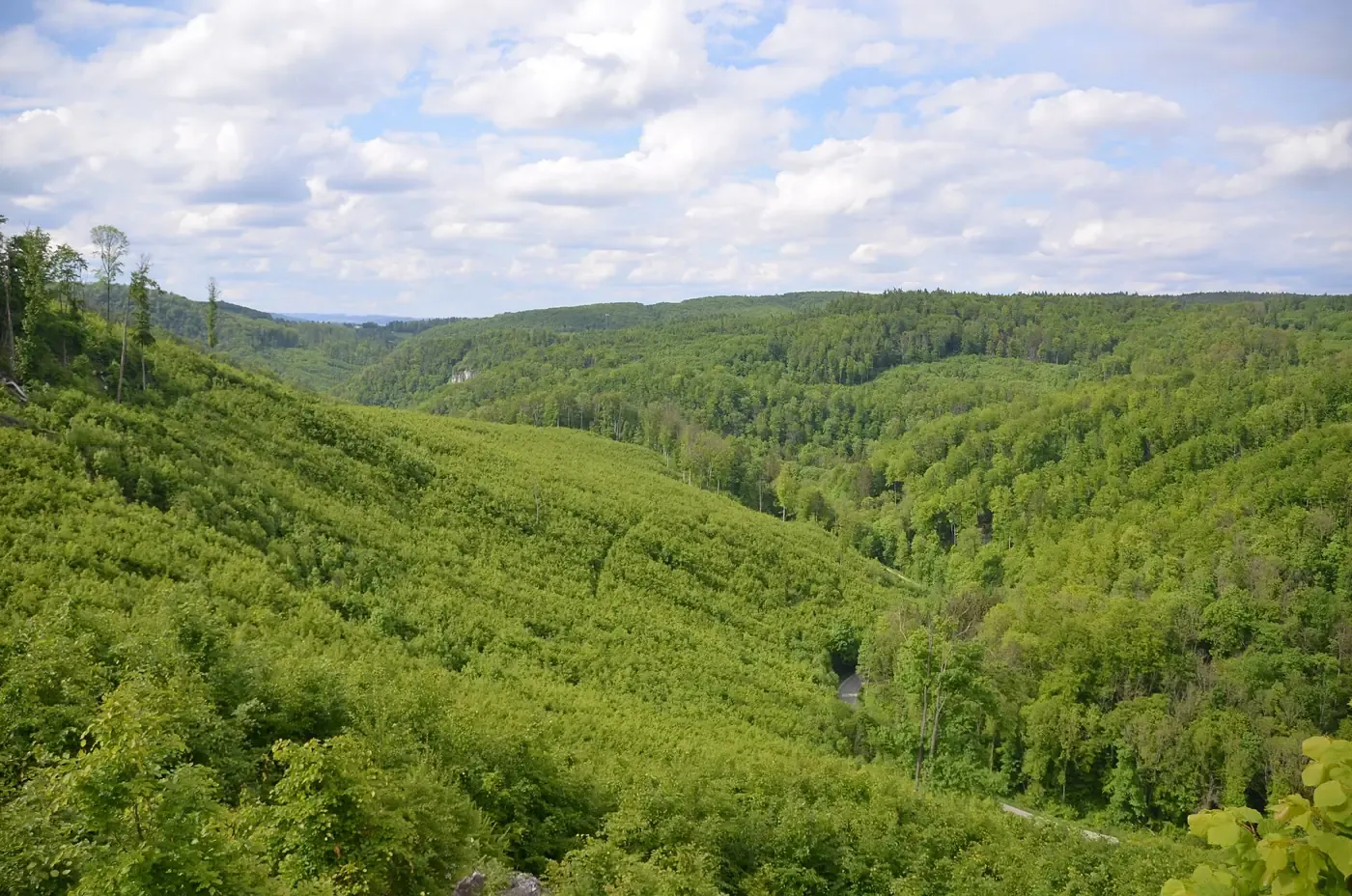 Bewaldetes Krtinské-Tal im Frühling