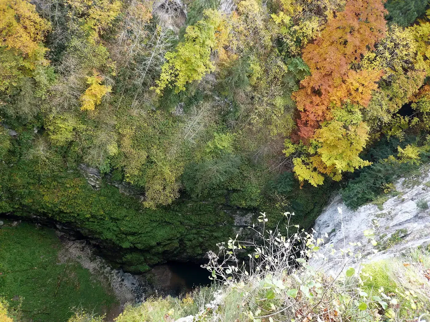 Schlucht Macocha von oben, bewaldete Felswände